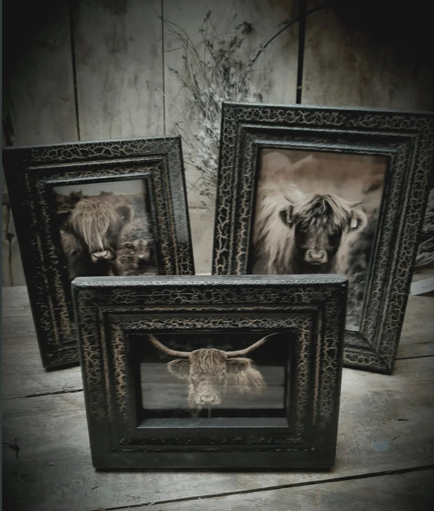 Fotokader zwart met goud 10x15cm