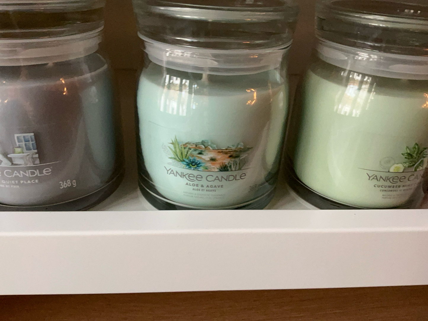 Yankee Candle medium aloe & agarve