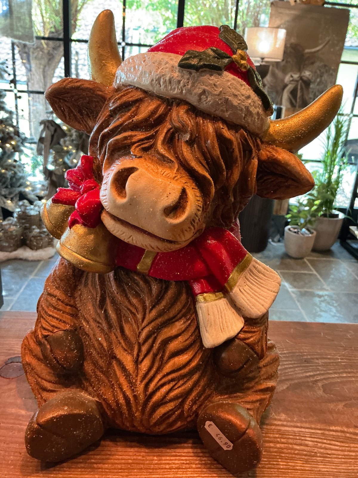 Hooglander in een kerstpakje 25x35cm