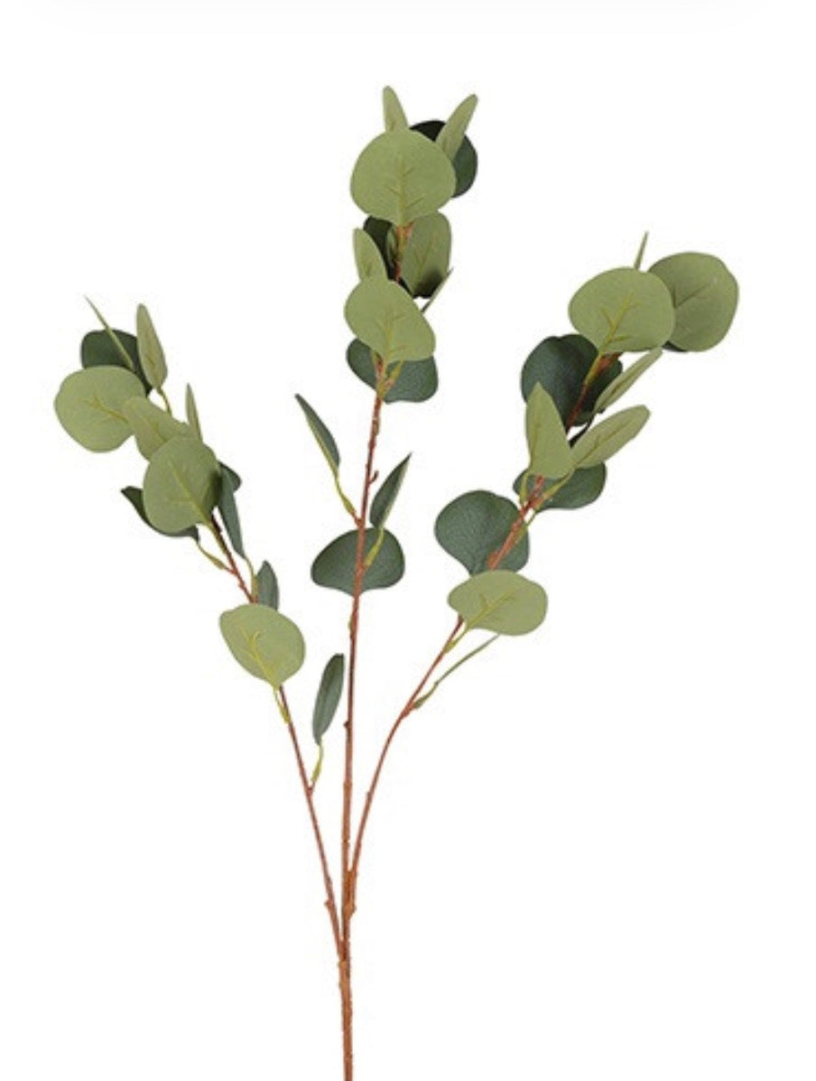 Blad Eucalyptus populus groen-15x12x80CM