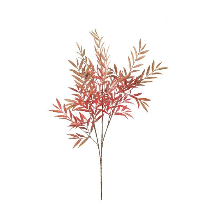 Leaves Plant Green orange Myrica gagel bush