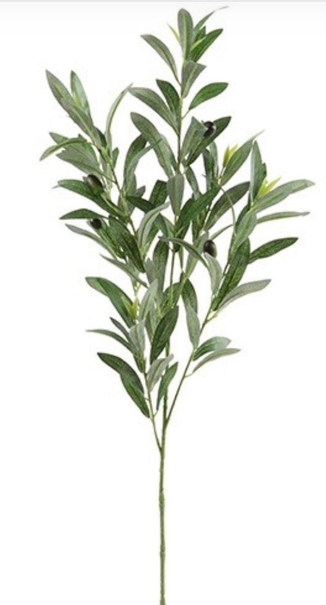 Blad Olijf Olea groen-5x30x90CM