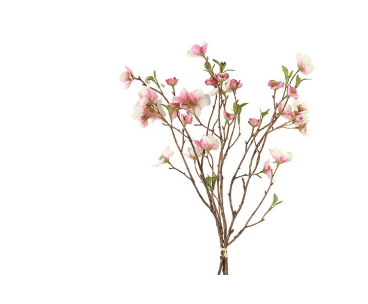 Bundel Helleborus S roze-7x30x56CM