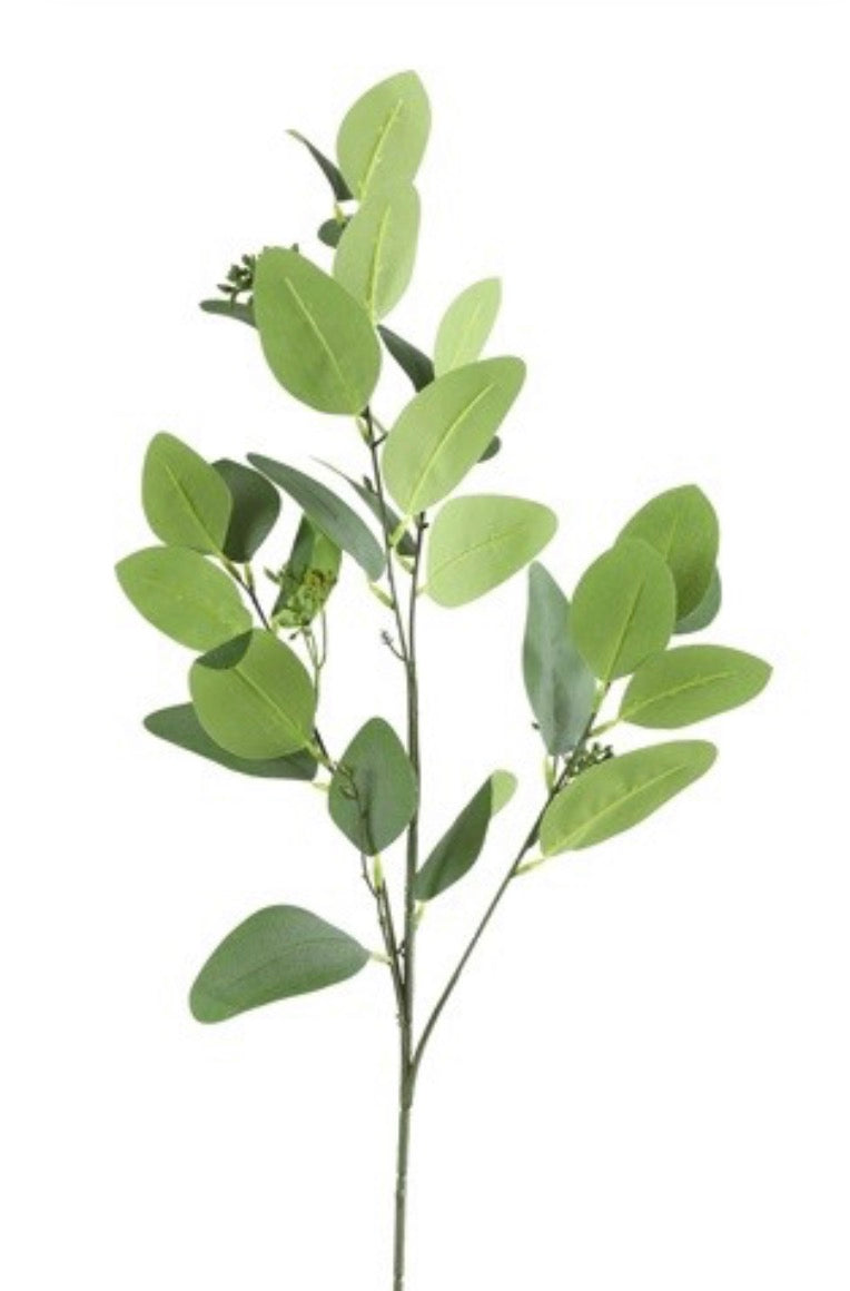 Blad Eucalyptus d.groen-5x20x93CM