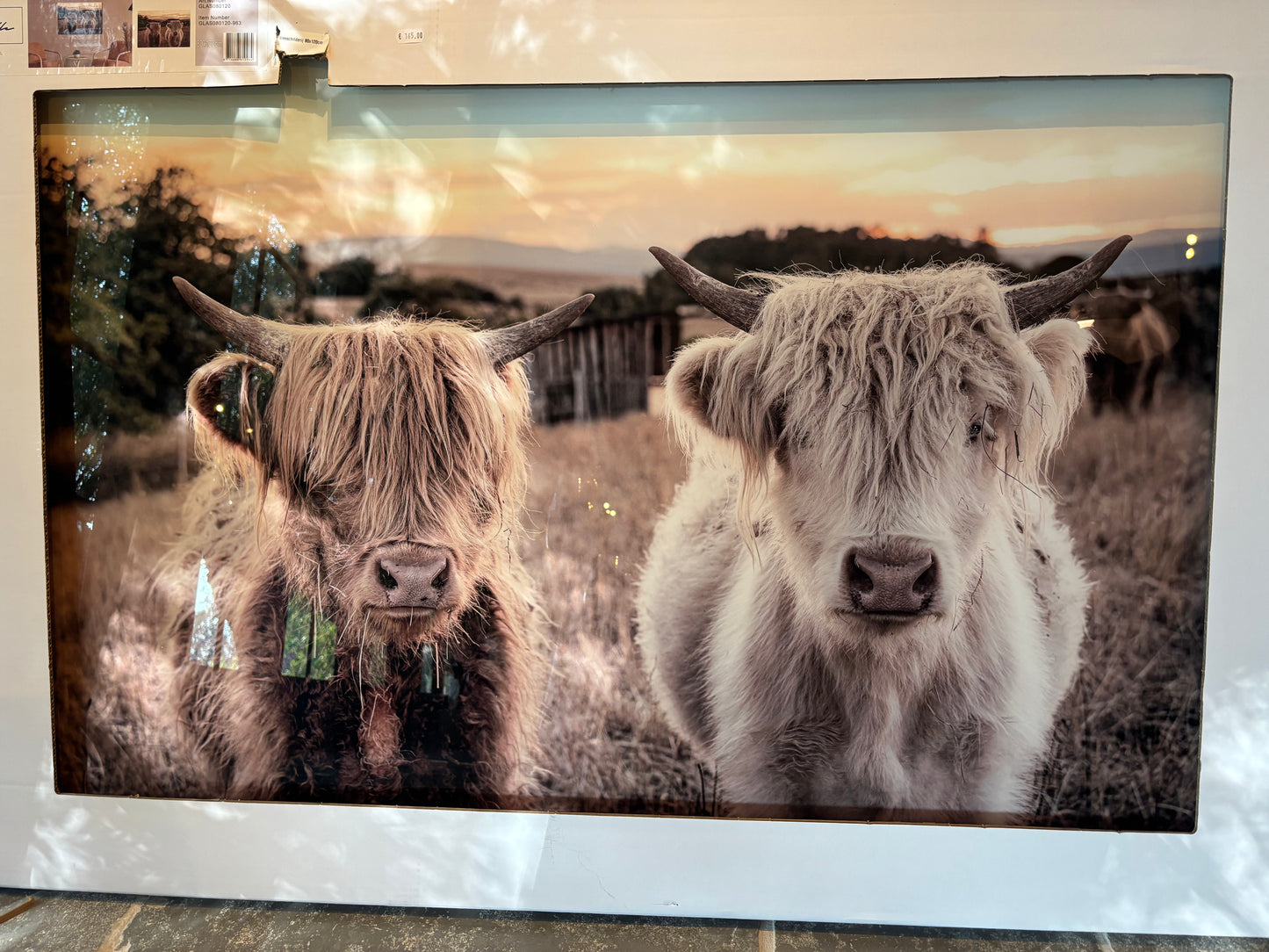 Glaskader hooglanders 120x80cm