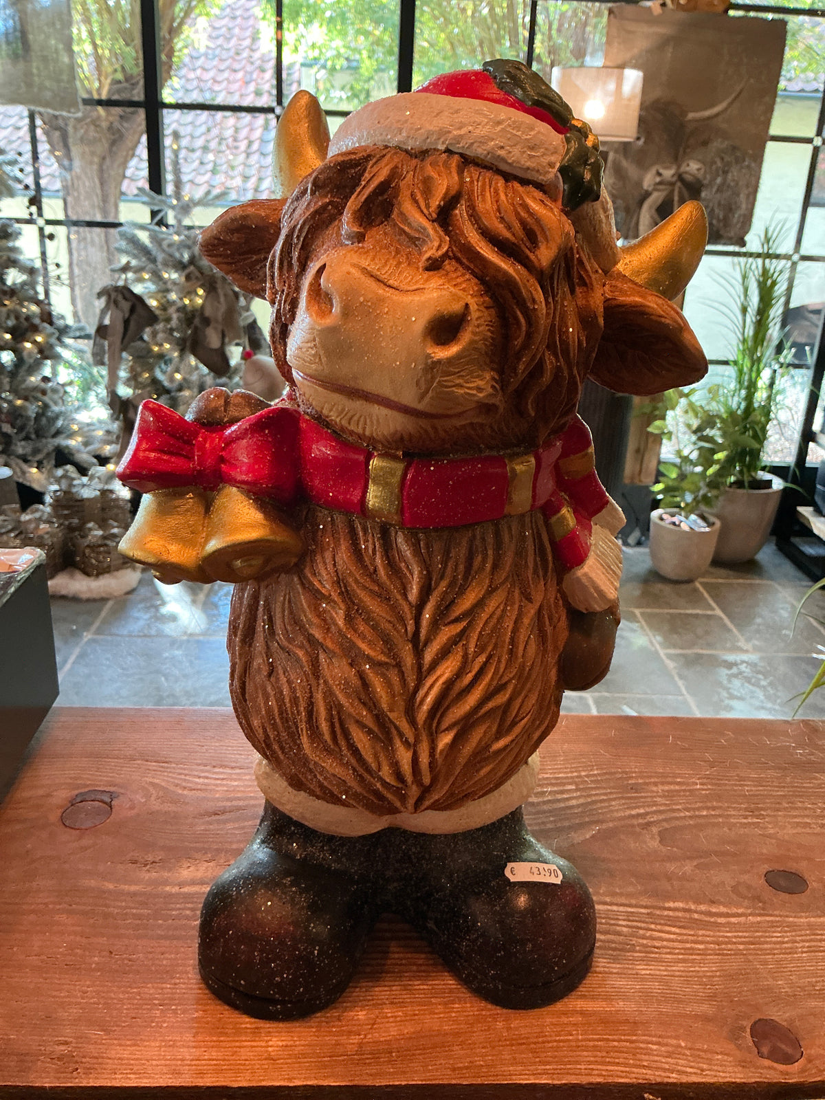 Hooglander in een kerstpakje 20x40cm