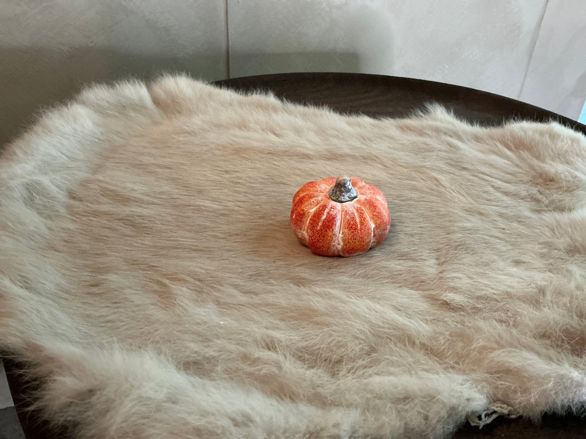 Mini pompoen