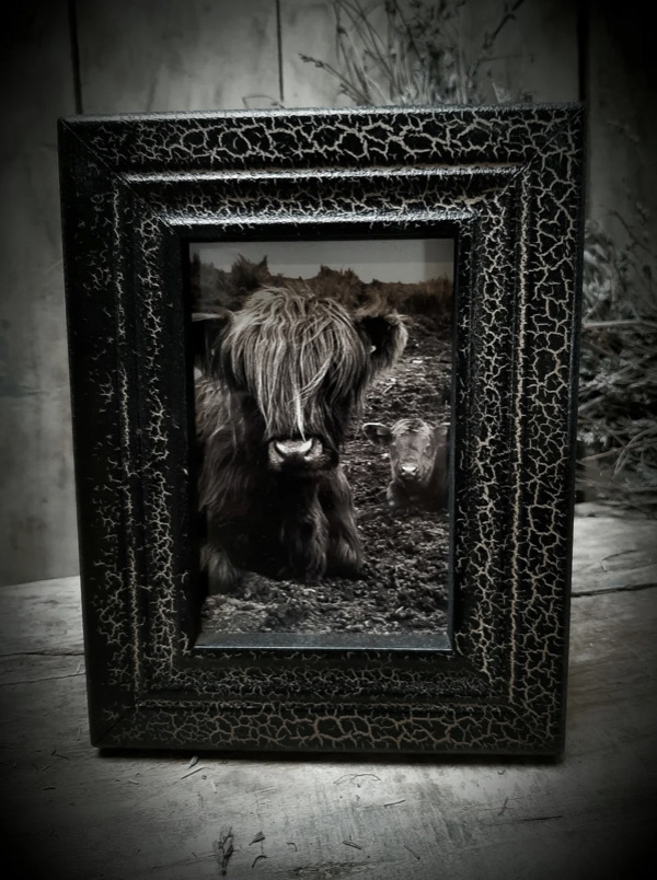 Fotokader zwart  met goud 10x15cm