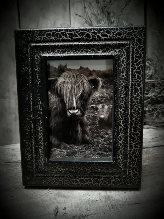 Fotokader zwart  met goud 10x15cm