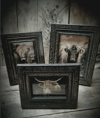 Fotokader zwart  met goud 10x15cm