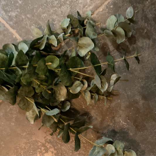 Eucalyptus 90cm