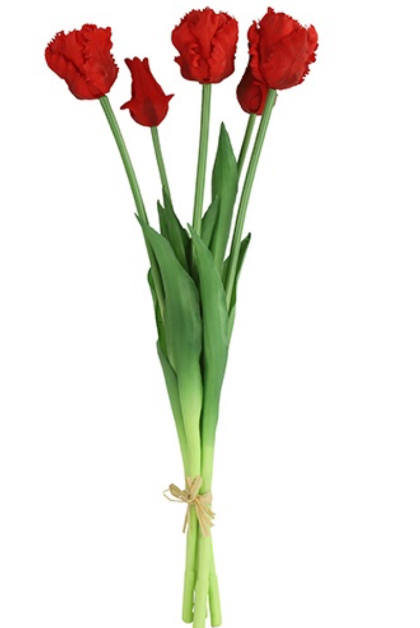 Boeket Tulpen rood lange steel 40cm