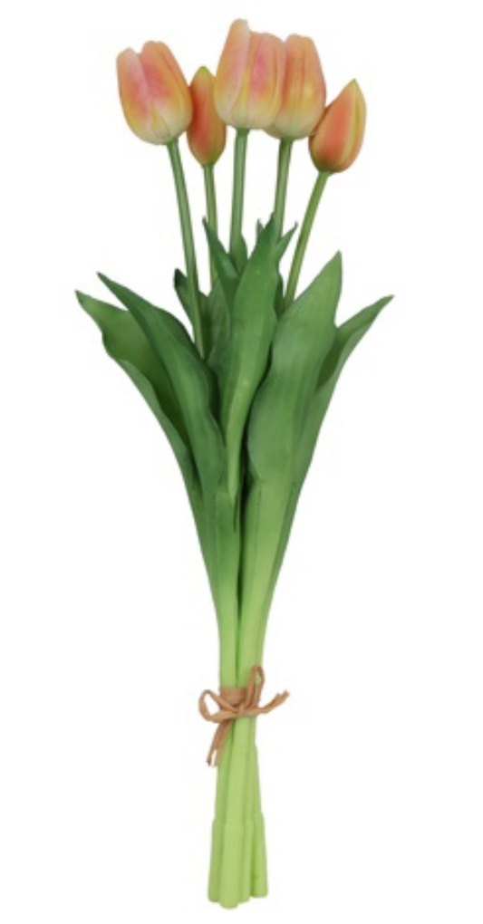 Boeket Zalm roze met lange steel (5)