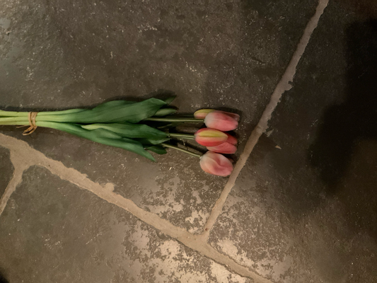 Boeket tulpen Roze - creme lange stelen (5)