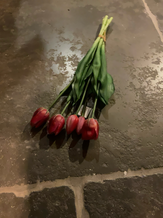 Boeket tulpen Roos rode lange stelen (5)
