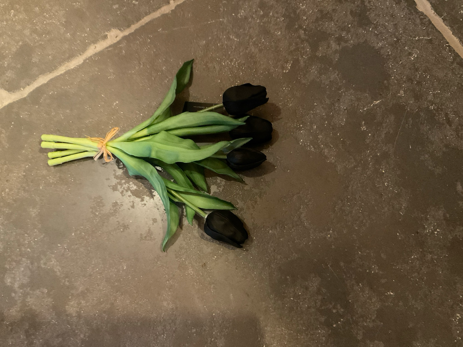 Boeket tulpen zwarte korte steel 30cm