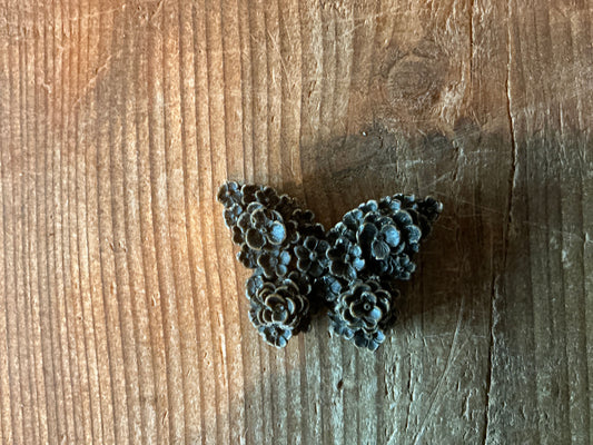 Geur vlinder black musk