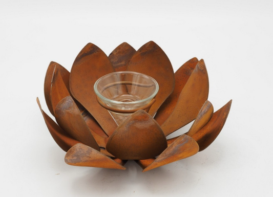 Roeste bloem met glas