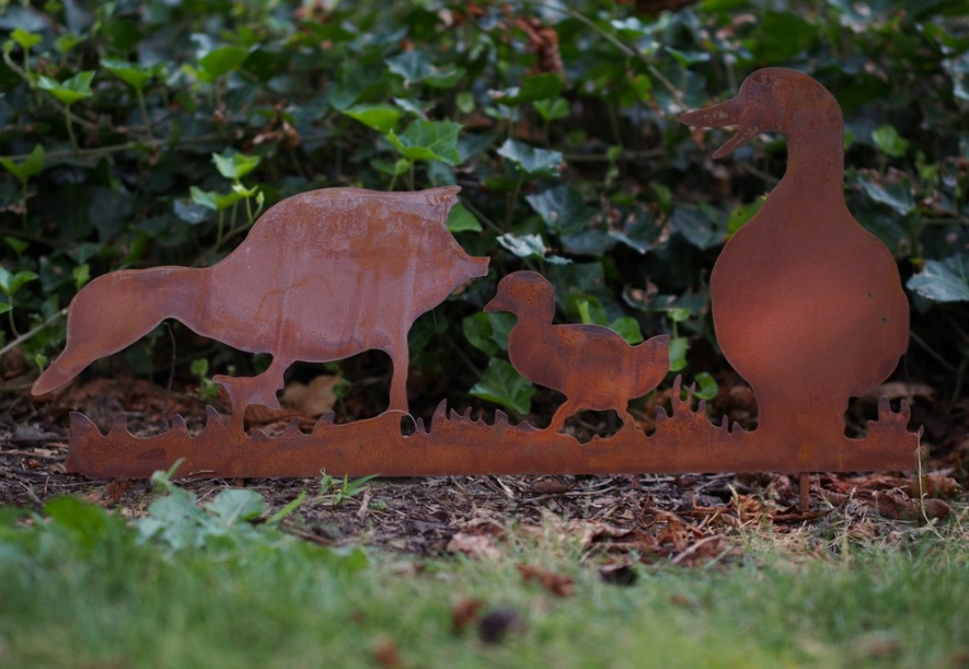 Roeste prikker eenden familie