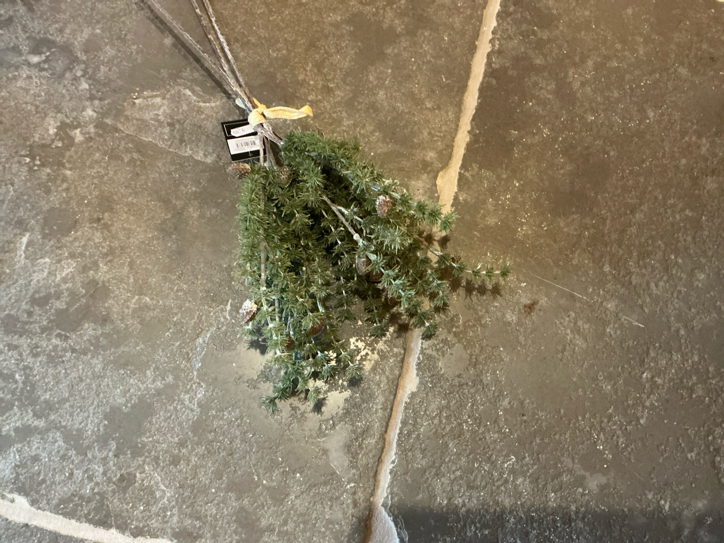 Kunst toefje met eikels