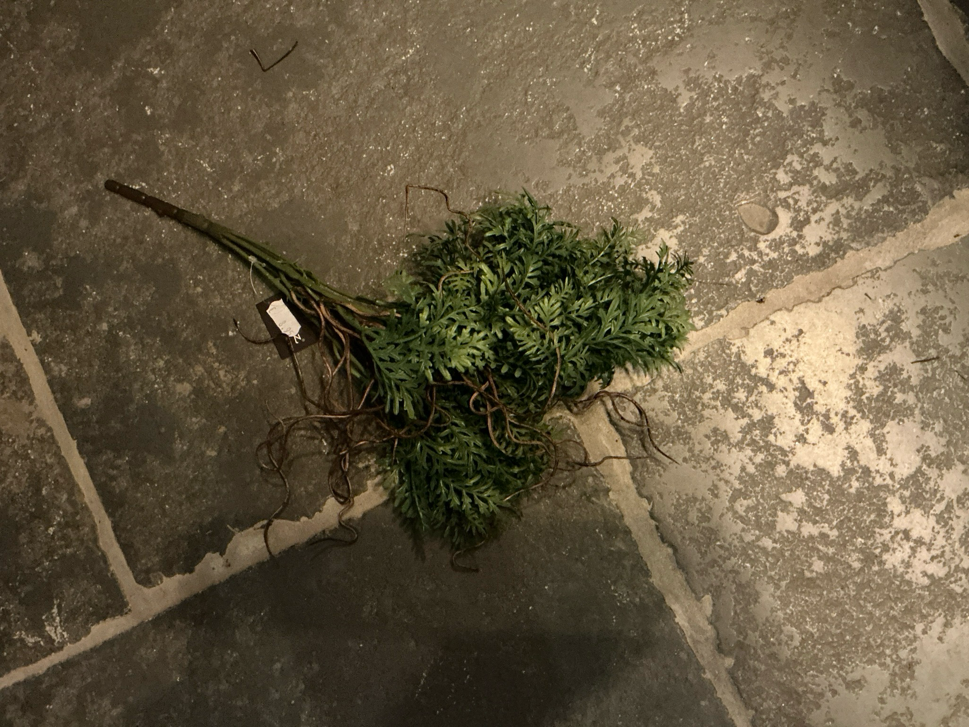 Kunst ranunculus twig