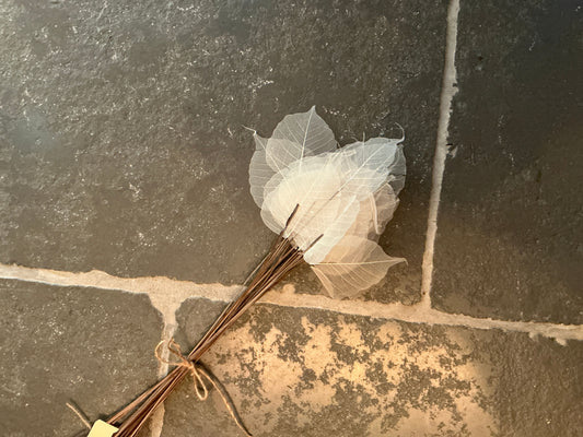 Bundel witte blaadjes