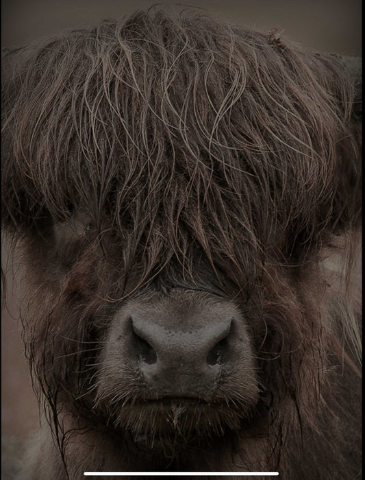 Decobordje met touw hooglander 16x21cm