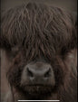 Decobordje met touw hooglander 16x21cm