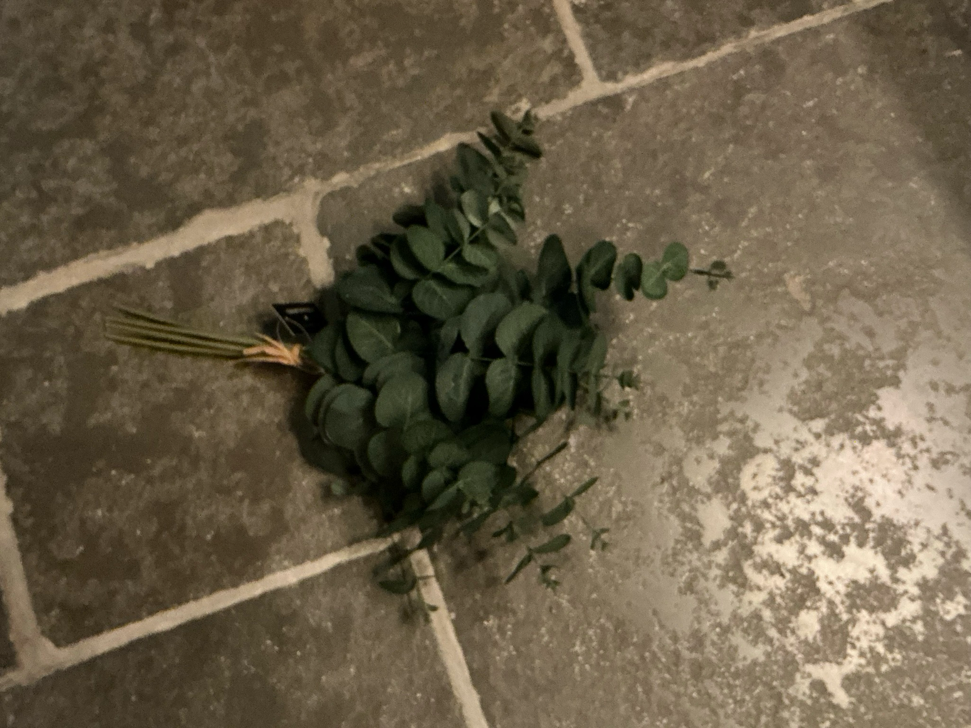 Kunstbundel eucalyptus