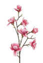 Kunstbloem Magnolia roze-L15B15H100CM