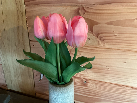 Boeket tulpen 30cm (5)