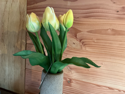 Boeket tulpen geel 30cm (5)