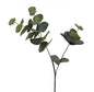 Blad  eucalyptus gr-31x29x80CM