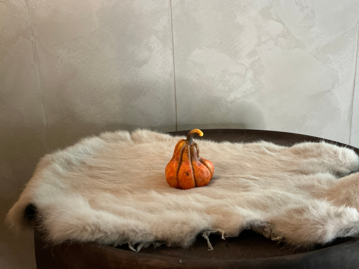 Mini pompoen