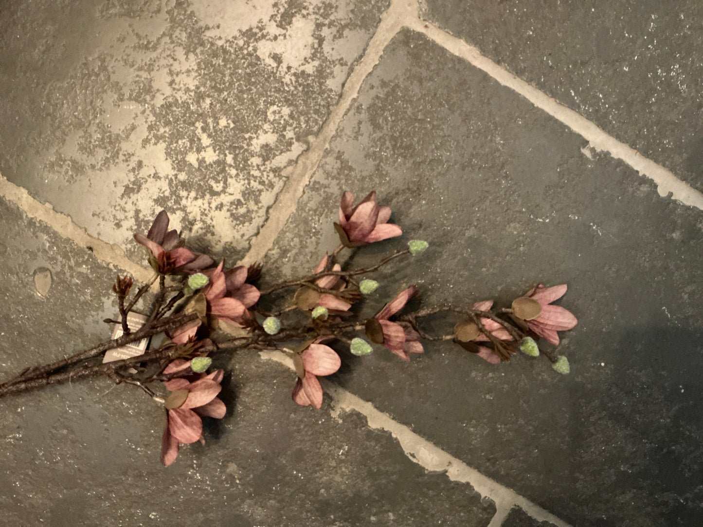 Magnolia tak