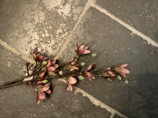 Magnolia tak