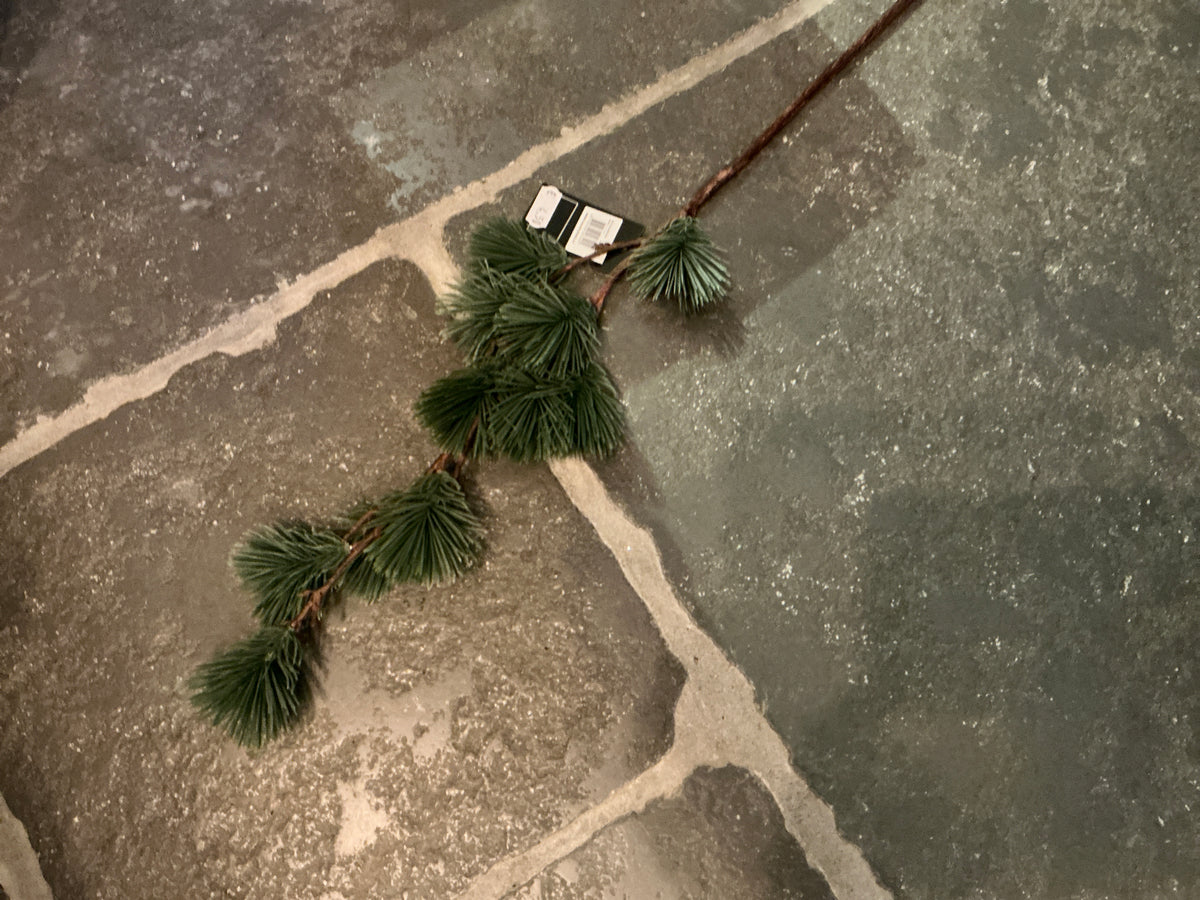 Den pinus tak