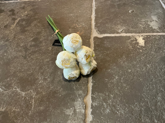 Boeket tulp cream (5) 35cm