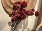 Bloem chrysant