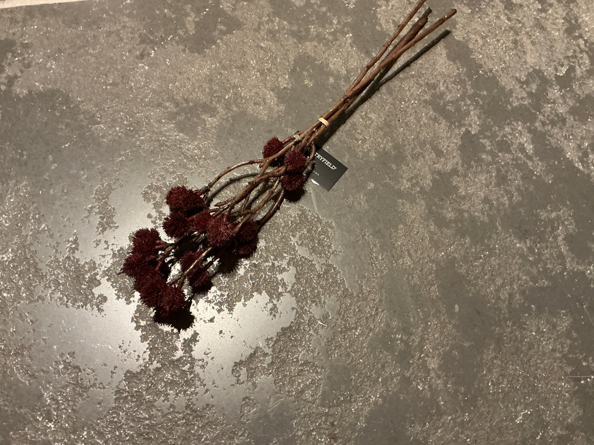 Bundel met bordeaux bolletjes