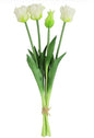 Boeket Tulp Tulipa (parkiet) w-16x16x40CM