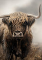 Canvas lijst Hooglander 80x60cm