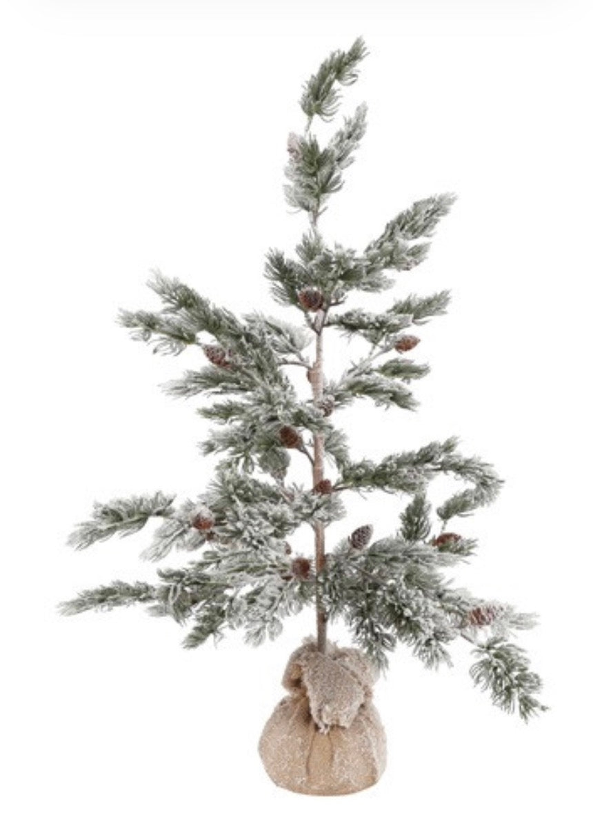 Kerstboom Picea sylvestris M-50x50x90CM