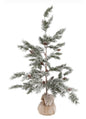 Kerstboom Picea sylvestris M-50x50x90CM