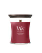 WW NEW Spiced Blackberry Medium Candle
