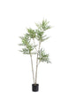 Groene plant in pot