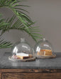 Glazen stolp Den Haag | Glass Collection