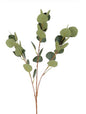 Blad Eucalyptus populus groen-15x12x80CM