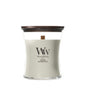 WW NEW Fireside Medium Candle