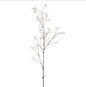 Plant Cream wild flower spray